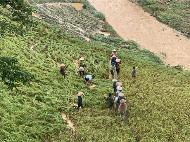      Khẩn trương khắc phục hậu quả mưa lũ ở các tỉnh Tây Bắc (14/6/2022)